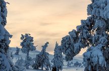 Snowshoeing Tour in Ylläs to Kesänki Fell