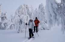 Snowshoeing Tour in Ylläs to Kesänki Fell