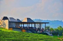 Chiang Rai All Inclusive Day Tour