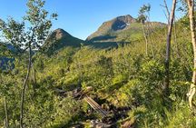 Tromso Iconic Senja Hike to Hesten
