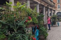 Historic London Private Walking Tour with Abbey Tickets