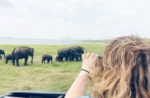 Explore Sri Lanka in 7 Nights 8 Days