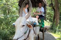 Explore Sri Lanka in 7 Nights 8 Days