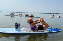Paddle Board Yoga Experience in Pensacola Beach
