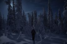 Night Skiing Experience in Ylläs under the Arctic Sky