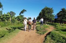 Walking Tour on Ukerewe Island: Culture & Local Life