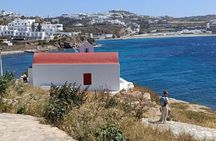 Mykonos Half Day Highlights 4 hour Private Tour