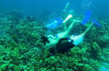 Private Island Hopping Boat Tour Rosario Island and Barú Up to 10