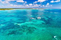 Cap Cana Catamaran, Beach Club Lunch and Cenote Tour