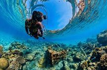 Snorkeling at the underwater wreck of Capo Palinuro