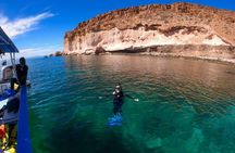 Espiritu Santo Island Tour with Sea Lion Snorkeling