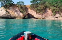 Cathedral Cove Scenic Cruises Explore Caves and Coastline