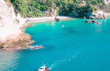 Cathedral Cove Scenic Cruises Explore Caves and Coastline