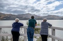 Private Akaroa Day Tour From Christchurch (Carbon Neutral)
