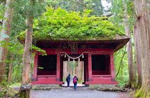 Full Day Snow Monkey Park and Togakushi Shrine Tour in Nagano
