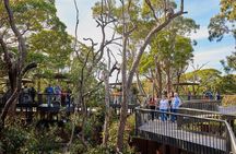 Sydney Taronga Zoo Wild Australia Experience