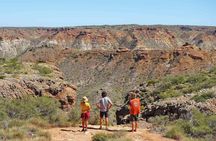Ningaloo in a Day Safari Snorkeling and Yardie Creek Cruise