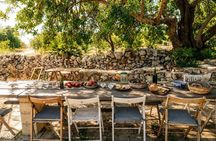 Olive Oil Tasting and Farm Tour in a Regenerative Sicilian Farm