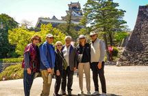 Shore Excursion Full Day Private Kochi Tour from Kochi port