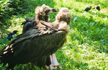 Admission Ticket to the ZOO with the Cruise Boat Transfer