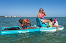 Chattanooga Electric Boat Rental Scenic River Adventure