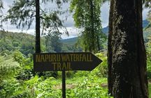 Mount Meru Waterfall, Coffee Plantation and Arusha City Tour
