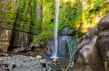 Mount Meru Waterfall, Coffee Plantation and Arusha City Tour