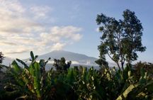 Mount Meru Waterfall, Coffee Plantation and Arusha City Tour