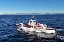 Sunset Cruise in Alcudia with Tapas & Swimming