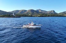 Sunset Cruise in Alcudia with Tapas & Swimming