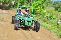 Buggy and ATV at Playa el Macau