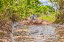 Buggy and ATV at Playa el Macau