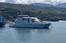 Whale-Watching Boat Cruise in Hermanus with Wine Tasting