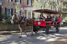 Beaufort Horse Drawn History Tour