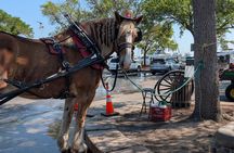 Beaufort Horse Drawn History Tour