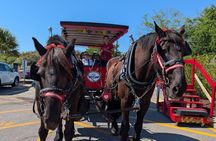 Beaufort Horse Drawn History Tour