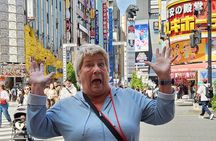 Tokyo Sightseeing City Tour by Private Car with English Driver