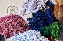 Authentic Bonsai Making and Take Home Workshop in Kyoto