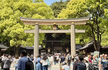 Tokyo Private Custom Highlights Tour with Local Guide