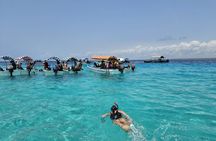 Mnemba Island Snorkeling Turtle Aquarium and Kendwa Beach Tour