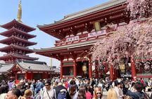 Tokyo Private Custom Highlights Tour with Local Guide