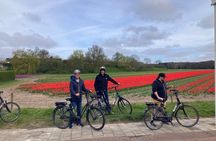 Bike Tour Haarlem | National Park | Dunes & Sea
