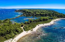 7h Excursion Esterel Day & Lerin Islands