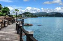 Airlie Beach: Small Group Half Day Hinterland Sightseeing Tour