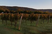 Crozet Virginia Winery and Bike Tour Experience