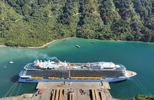 Picton Shore Excursion: Marlborough Wine Tour