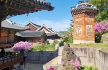 Seoul Must-See Highlights Walking Tour - Private & Customizable