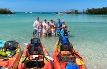 Siesta Key Kayak & Paddleboard Rentals | Midnight Pass Beach