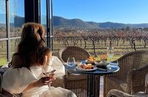 Luxury Hunter Valley Tour | Small Grp, Gin, & Lunch Stop | Sydney