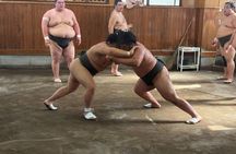 Sumo Morning Practice, Meals and Conversations with Wrestlers